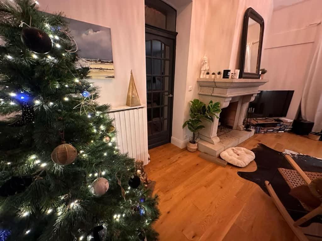 Clos Hily - Maison D'Exception A Dinard - 10 Pers Εξωτερικό φωτογραφία